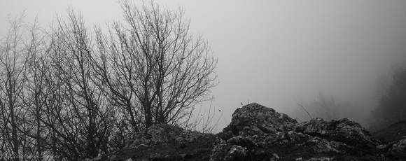 Monte Navegna_passeggiando nella nebbia tra i monti_2015