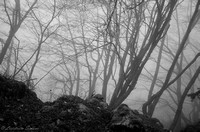 Monte Navegna_passeggiando nella nebbia tra i monti_2015